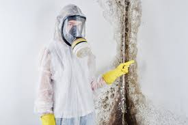 Best Commercial Mold Inspection  in Mona, UT